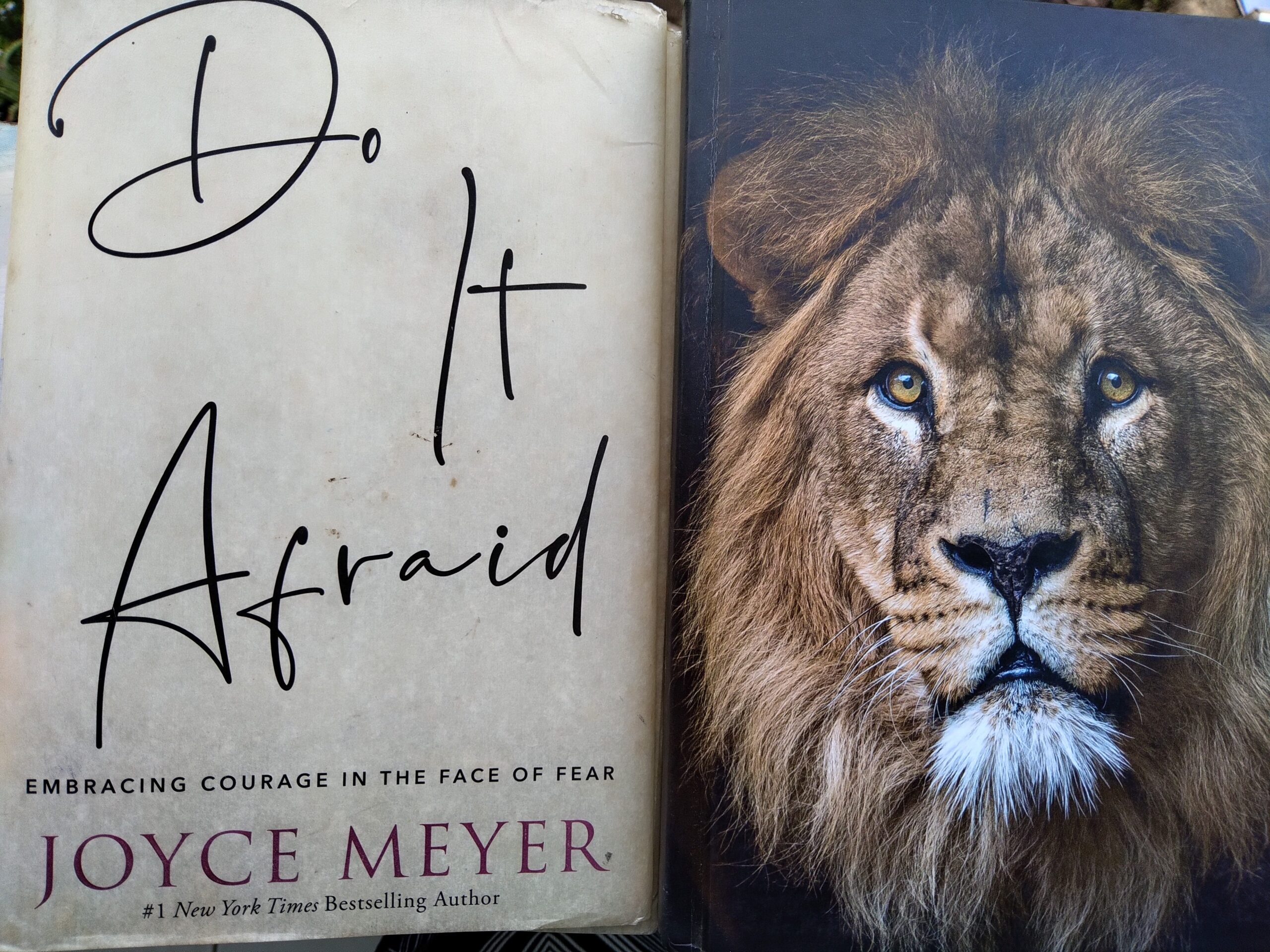 The best book to deal with fear