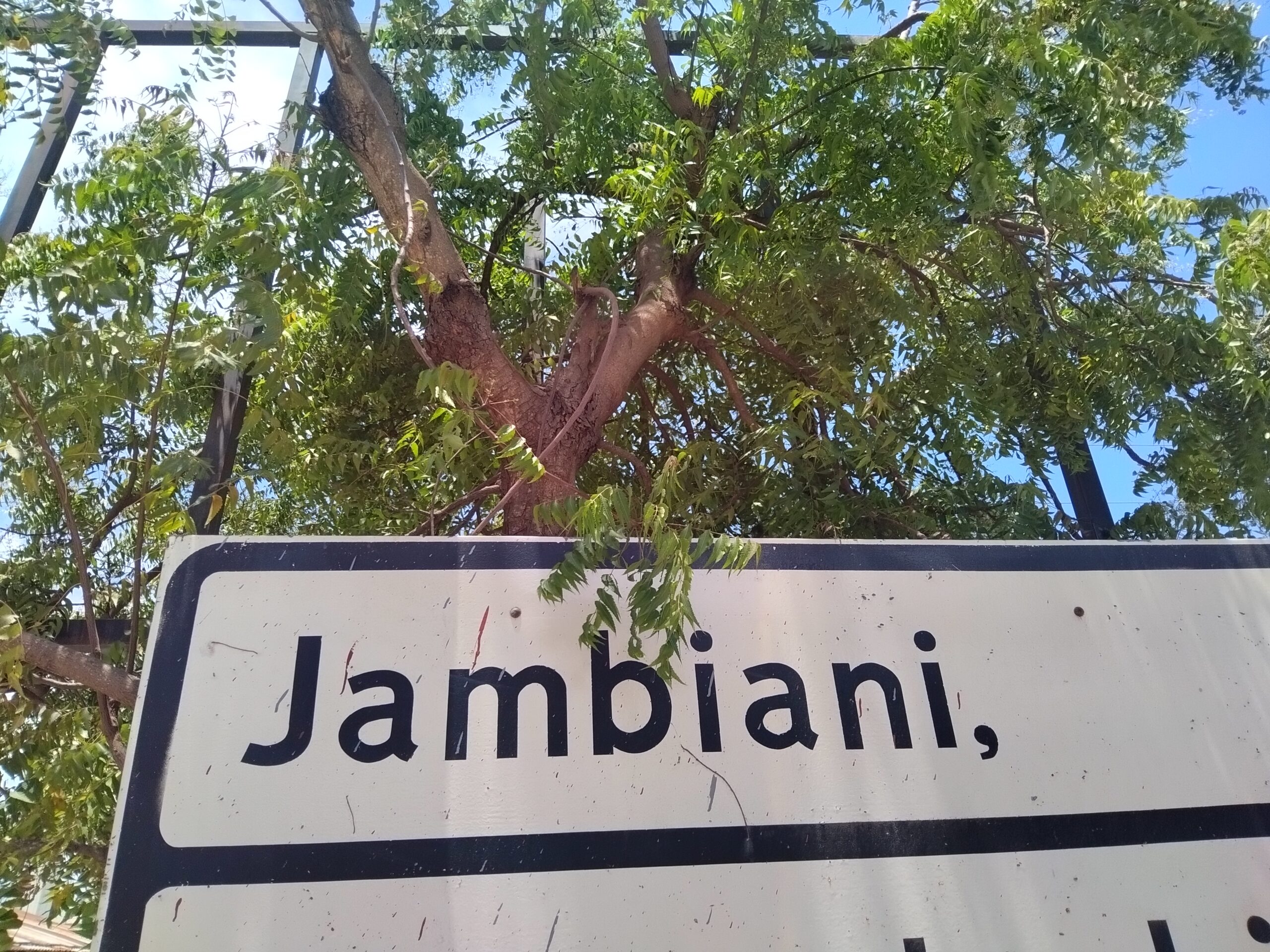 Best things to do in Jambiani village, Tanzania