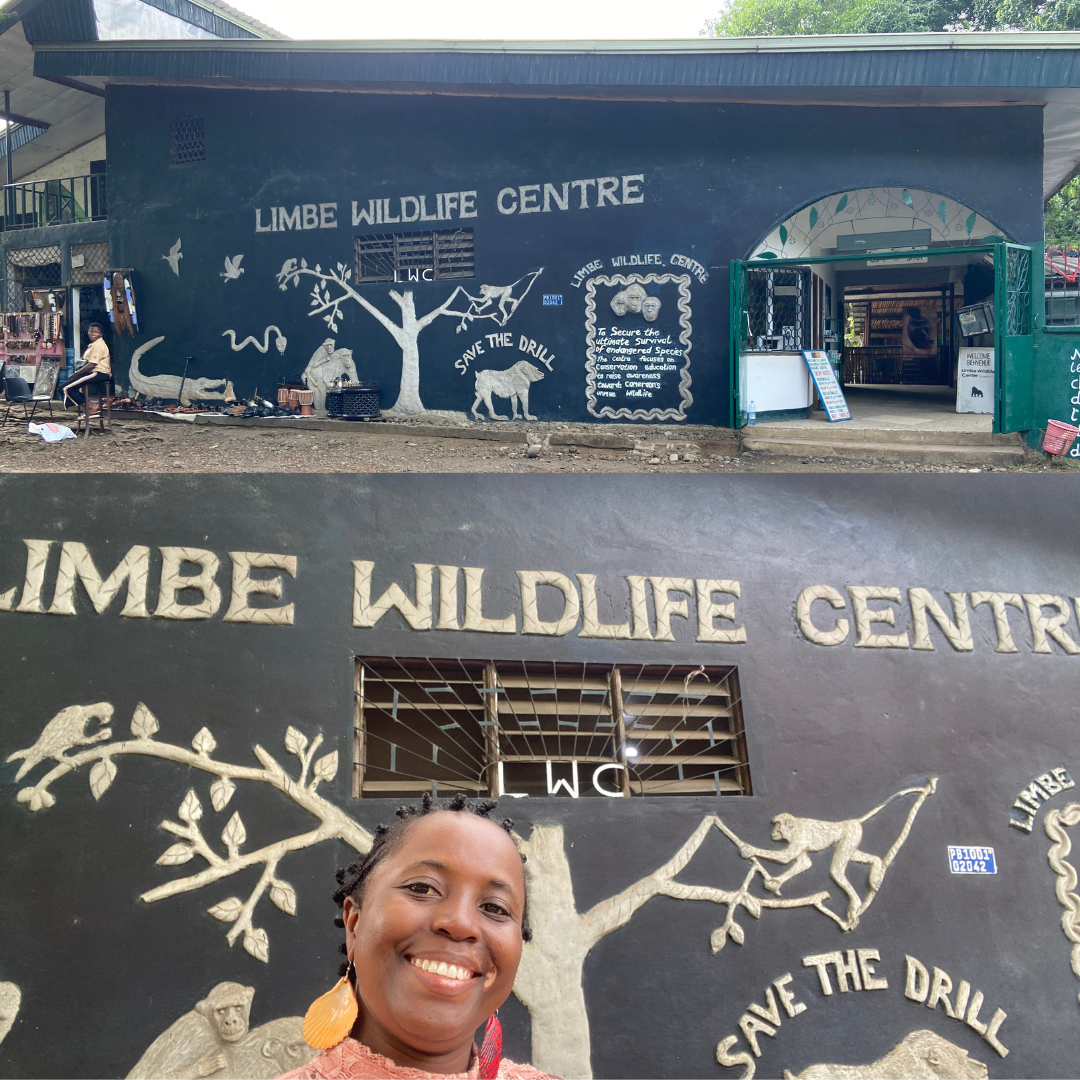 Limbe Wildlife Center: The Most Affordable Zoo to Visit in Cameroon