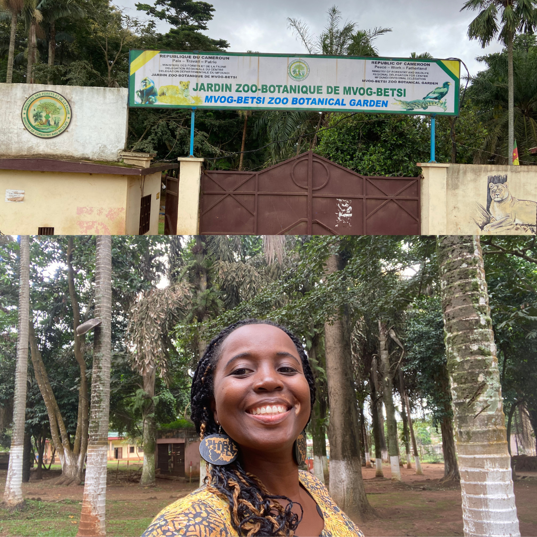 Exploring Yaounde Zoo: Mvog-Betsi Botanical Zoological Garden